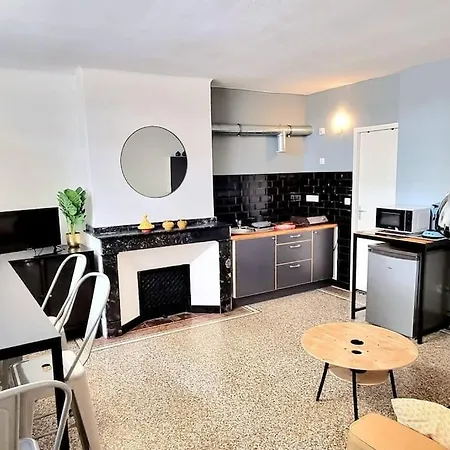 Jardin Des Plantes - Metro - Wifi Apartment Toulouse